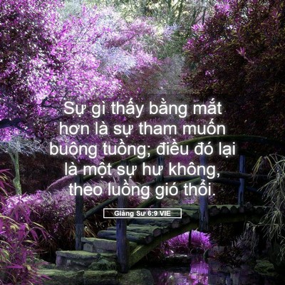 Picture 05 - Giảng Sư 6:9 VIE - Sự gì thấy bằng mắt hơn là sự tham - Bible Verse Picture