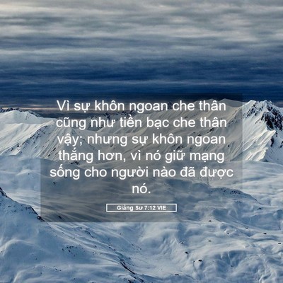 Picture 05 - Giảng Sư 7:12 VIE - Vì sự khôn ngoan che thân cũng như tiền - Bible Verse Picture