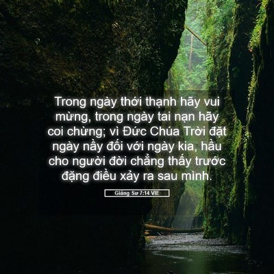 Picture 05 - Giảng Sư 7:14 VIE - Trong ngày thới thạnh hãy vui mừng, trong - Bible Verse Picture
