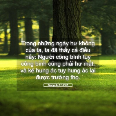 Picture 05 - Giảng Sư 7:15 VIE - Trong những ngày hư không của ta, ta đã - Bible Verse Picture