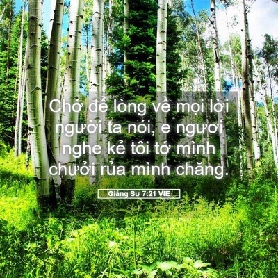 Picture 05 - Giảng Sư 7:21 VIE - Chớ để lòng về mọi lời người ta - Bible Verse Picture