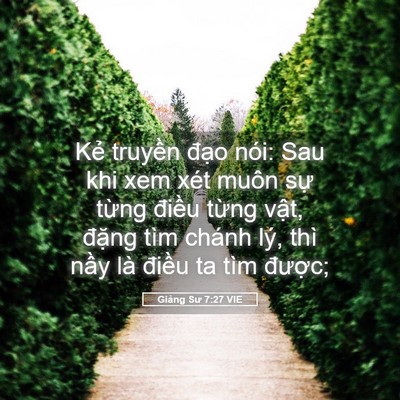 Picture 05 - Giảng Sư 7:27 VIE - Kẻ truyền đạo nói: Sau khi xem xét muôn - Bible Verse Picture