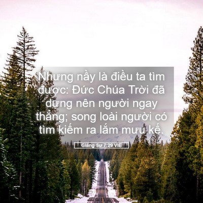 Picture 05 - Giảng Sư 7:29 VIE - Nhưng nầy là điều ta tìm được: Đức - Bible Verse Picture