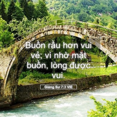 Picture 05 - Giảng Sư 7:3 VIE - Buồn rầu hơn vui vẻ; vì nhờ mặt - Bible Verse Picture