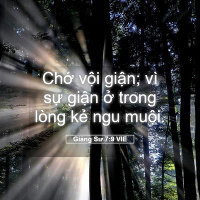 Picture 05 - Giảng Sư 7:9 VIE - Chớ vội giận; vì sự giận ở trong - Bible Verse Picture