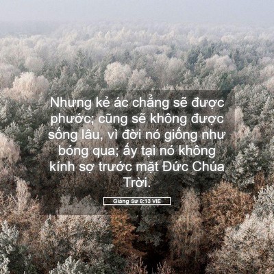 Picture 05 - Giảng Sư 8:13 VIE - Nhưng kẻ ác chẳng sẽ được phước; - Bible Verse Picture