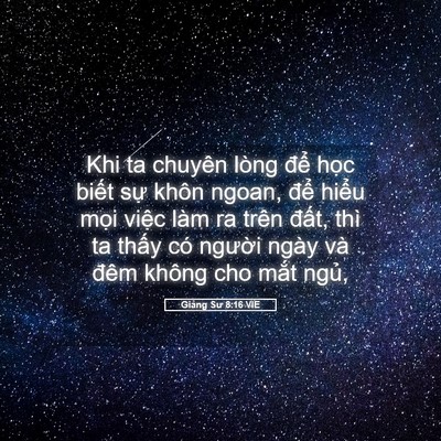 Picture 05 - Giảng Sư 8:16 VIE - Khi ta chuyên lòng để học biết sự - Bible Verse Picture
