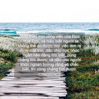 Picture 05 - Giảng Sư 8:17 VIE - cũng thấy mọi công việc của Đức - Bible Verse Picture