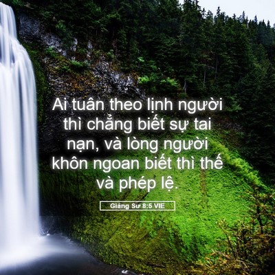 Picture 05 - Giảng Sư 8:5 VIE - Ai tuân theo lịnh người thì chẳng biết - Bible Verse Picture