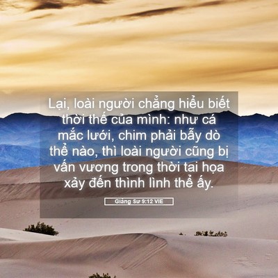 Picture 05 - Giảng Sư 9:12 VIE - Lại, loài người chẳng hiểu biết - Bible Verse Picture