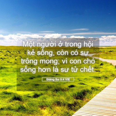 Picture 05 - Giảng Sư 9:4 VIE - Một người ở trong hội kẻ sống, còn - Bible Verse Picture