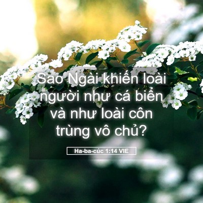 Picture 05 - Ha-ba-cúc 1:14 VIE - Sao Ngài khiến loài người như cá biển - Bible Verse Picture