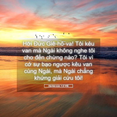 Picture 05 - Ha-ba-cúc 1:2 VIE - Hỡi Đức Giê-hô-va! Tôi kêu van mà Ngài - Bible Verse Picture