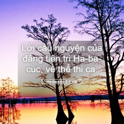 Picture 05 - Ha-ba-cúc 3:1 VIE - Lời cầu nguyện của đấng tiên tri - Bible Verse Picture