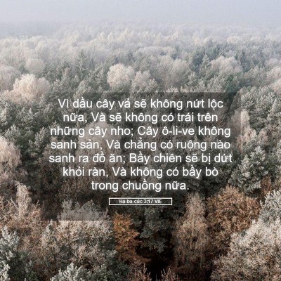 Picture 05 - Ha-ba-cúc 3:17 VIE - Vì dầu cây vả sẽ không nứt lộc - Bible Verse Picture