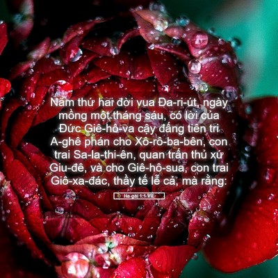 Picture 05 - Ha-gai 1:1 VIE - Năm thứ hai đời vua Đa-ri-út, ngày - Bible Verse Picture