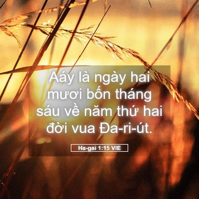Picture 05 - Ha-gai 1:15 VIE - Aáy là ngày hai mươi bốn tháng sáu về - Bible Verse Picture