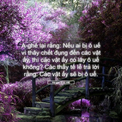 Picture 05 - Ha-gai 2:13 VIE - A-ghê lại rằng: Nếu ai bị ô uế vì - Bible Verse Picture