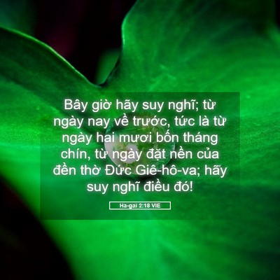 Picture 05 - Ha-gai 2:18 VIE - Bây giờ hãy suy nghĩ; từ ngày nay về - Bible Verse Picture