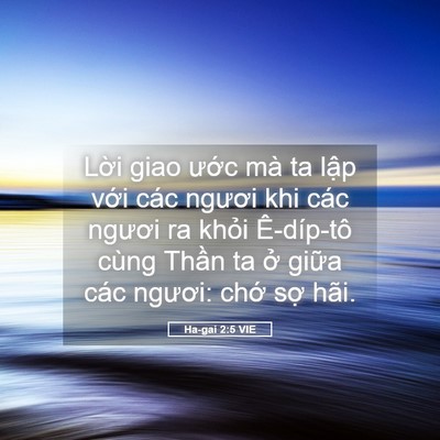 Picture 05 - Ha-gai 2:5 VIE - Lời giao ước mà ta lập với các ngươi - Bible Verse Picture