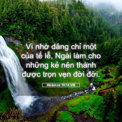 Picture 05 - Hê-bơ-rơ 10:14 VIE - Vì nhờ dâng chỉ một của tế lễ, - Bible Verse Picture