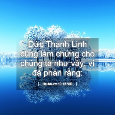 Picture 05 - Hê-bơ-rơ 10:15 VIE - Đức Thánh Linh cũng làm chứng cho chúng - Bible Verse Picture