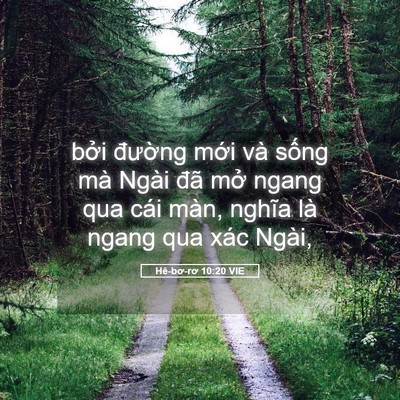 Picture 05 - Hê-bơ-rơ 10:20 VIE - bởi đường mới và sống mà Ngài đã - Bible Verse Picture