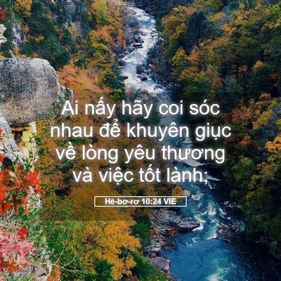 Picture 05 - Hê-bơ-rơ 10:24 VIE - Ai nấy hãy coi sóc nhau để khuyên giục - Bible Verse Picture