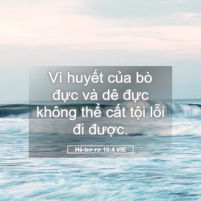 Picture 05 - Hê-bơ-rơ 10:4 VIE - Vì huyết của bò đực và dê đực - Bible Verse Picture