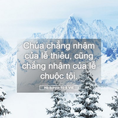 Picture 05 - Hê-bơ-rơ 10:6 VIE - Chúa chẳng nhậm của lễ thiêu, cũng - Bible Verse Picture