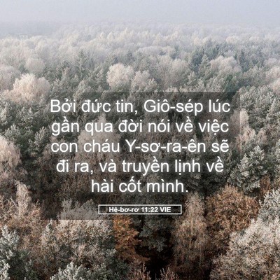 Picture 05 - Hê-bơ-rơ 11:22 VIE - Bởi đức tin, Giô-sép lúc gần qua đời - Bible Verse Picture