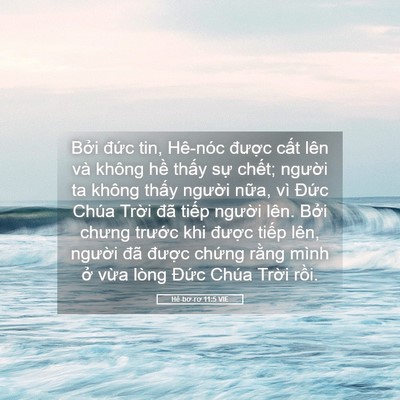 Picture 05 - Hê-bơ-rơ 11:5 VIE - Bởi đức tin, Hê-nóc được cất lên - Bible Verse Picture
