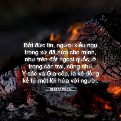 Picture 05 - Hê-bơ-rơ 11:9 VIE - Bởi đức tin, người kiều ngụ trong - Bible Verse Picture