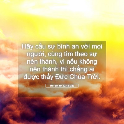 Picture 05 - Hê-bơ-rơ 12:14 VIE - Hãy cầu sự bình an với mọi người, - Bible Verse Picture