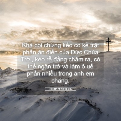 Picture 05 - Hê-bơ-rơ 12:15 VIE - Khá coi chừng kẻo có kẻ trật phần ân - Bible Verse Picture