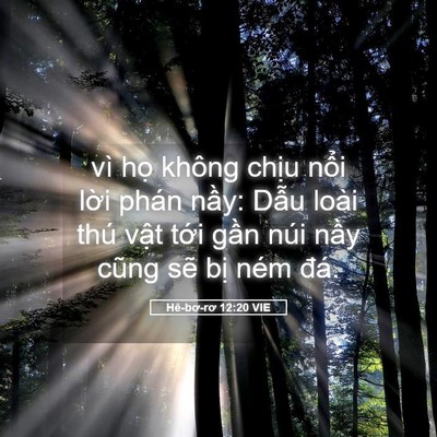 Picture 05 - Hê-bơ-rơ 12:20 VIE - vì họ không chịu nổi lời phán nầy: - Bible Verse Picture