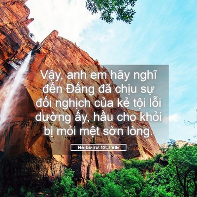 Picture 05 - Hê-bơ-rơ 12:3 VIE - Vậy, anh em hãy nghĩ đến Đấng đã - Bible Verse Picture