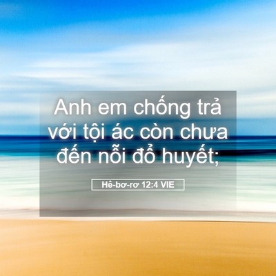 Picture 05 - Hê-bơ-rơ 12:4 VIE - Anh em chống trả với tội ác còn chưa - Bible Verse Picture