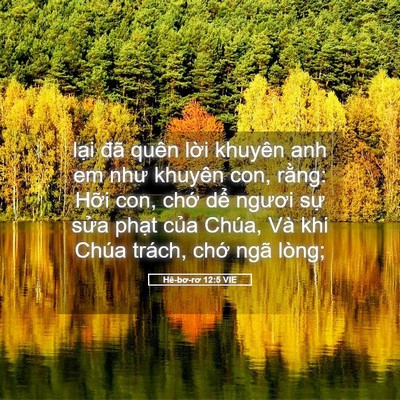 Picture 05 - Hê-bơ-rơ 12:5 VIE - lại đã quên lời khuyên anh em như - Bible Verse Picture