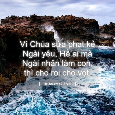 Picture 05 - Hê-bơ-rơ 12:6 VIE - Vì Chúa sửa phạt kẻ Ngài yêu, Hễ ai - Bible Verse Picture