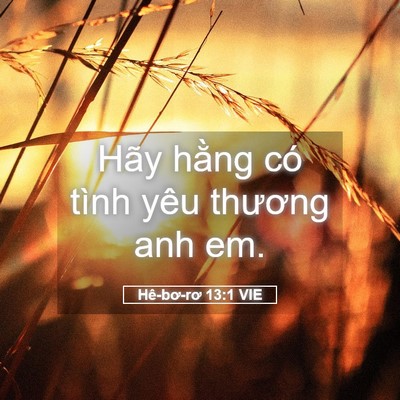 Picture 05 - Hê-bơ-rơ 13:1 VIE - Hãy hằng có tình yêu thương anh - Bible Verse Picture