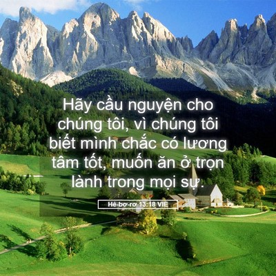 Picture 05 - Hê-bơ-rơ 13:18 VIE - Hãy cầu nguyện cho chúng tôi, vì chúng - Bible Verse Picture
