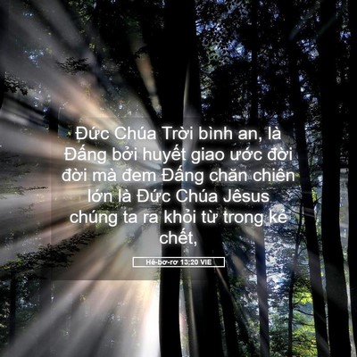 Picture 05 - Hê-bơ-rơ 13:20 VIE - Đức Chúa Trời bình an, là Đấng bởi - Bible Verse Picture