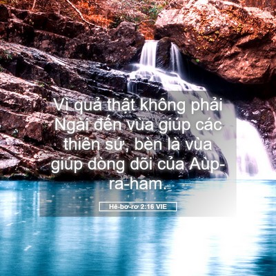 Picture 05 - Hê-bơ-rơ 2:16 VIE - Vì quả thật không phải Ngài đến vùa - Bible Verse Picture