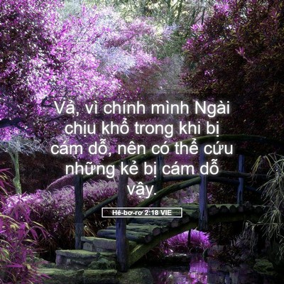 Picture 05 - Hê-bơ-rơ 2:18 VIE - Vả, vì chính mình Ngài chịu khổ trong - Bible Verse Picture