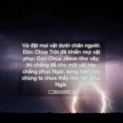 Picture 05 - Hê-bơ-rơ 2:8 VIE - Và đặt mọi vật dưới chân người. - Bible Verse Picture