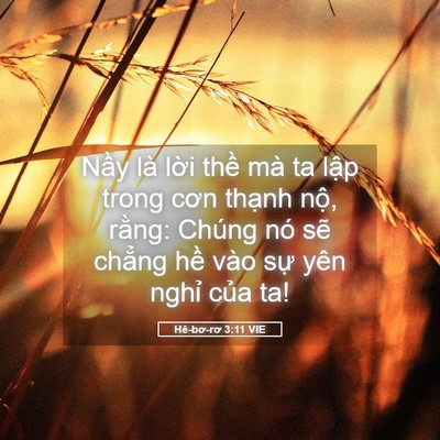 Picture 05 - Hê-bơ-rơ 3:11 VIE - Nầy là lời thề mà ta lập trong cơn - Bible Verse Picture