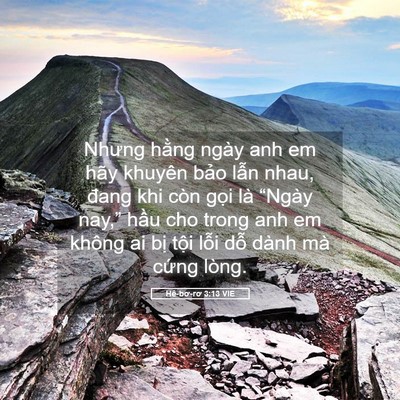 Picture 05 - Hê-bơ-rơ 3:13 VIE - Nhưng hằng ngày anh em hãy khuyên bảo - Bible Verse Picture