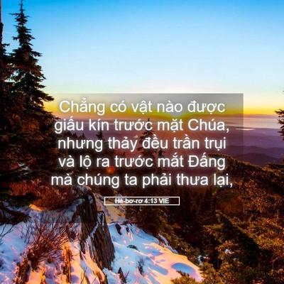 Picture 05 - Hê-bơ-rơ 4:13 VIE - Chẳng có vật nào được giấu kín - Bible Verse Picture
