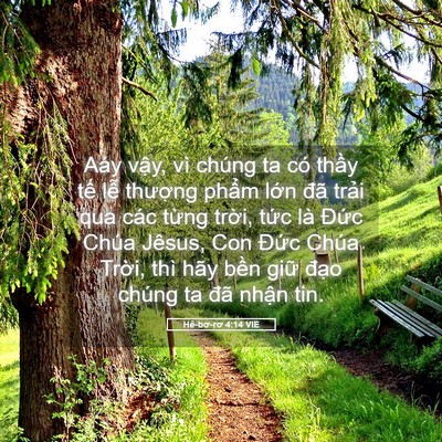 Picture 05 - Hê-bơ-rơ 4:14 VIE - Aáy vậy, vì chúng ta có thầy tế lễ - Bible Verse Picture